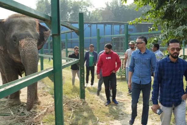 Wildlife SOS Elephantcare and Welfare Sanctuary