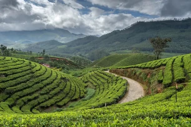 Kerala – Nature and Wellness