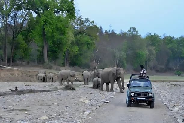 Rajaji National Park