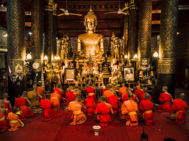 Buddha Purnima – La paix en pleine floraison