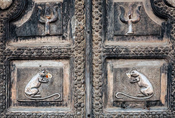Datos fascinantes sobre el Templo de las Ratas