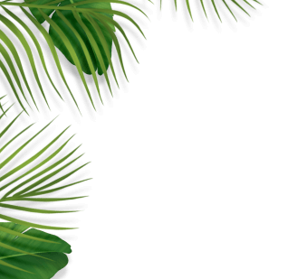 Vector Graphic 1