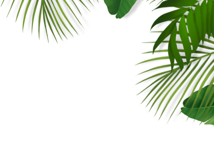 Vector Graphic 2